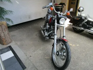 HARLEY DAVIDSON FXST – Fahrzeugbild 3