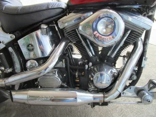 HARLEY DAVIDSON FXST – Fahrzeugbild 6