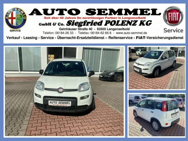FIAT Panda gebraucht kaufen