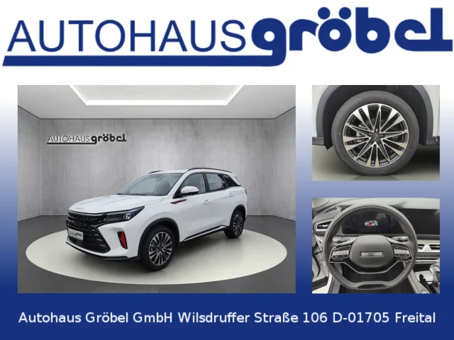 DFSK Fengon gebraucht kaufen