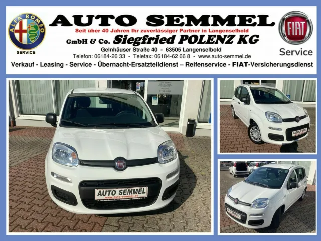 FIAT Pandina gebraucht kaufen