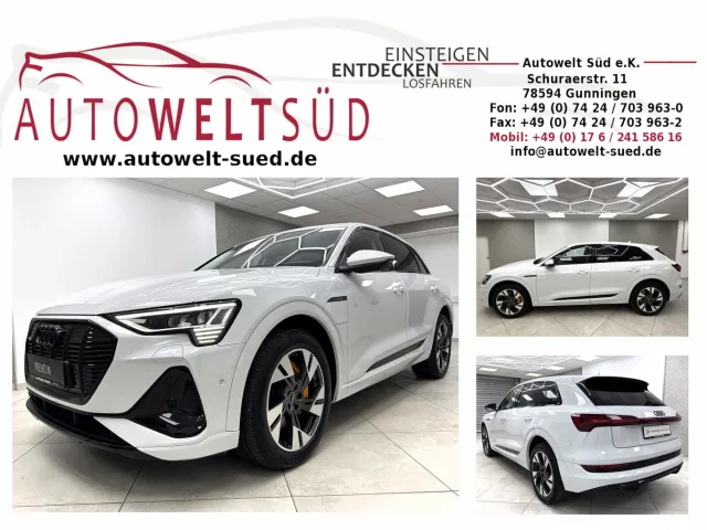 AUDI e-tron gebraucht kaufen