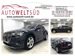 AUDI e-tron – Fahrzeugbild 1