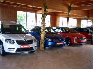 VW Golf – Fahrzeugbild 10