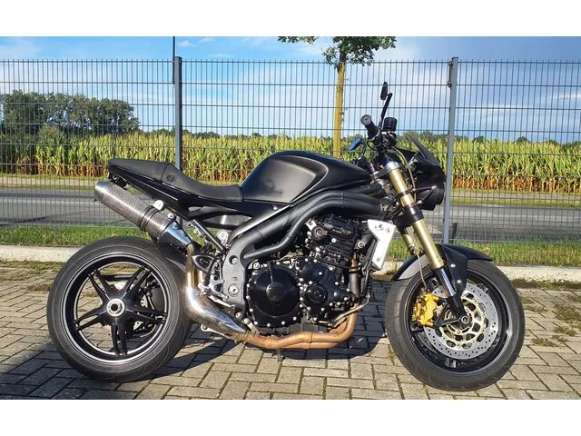 TRIUMPH Speed gebraucht kaufen