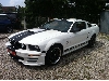 Ford Mustang GT V8 *Leder/ Klima/ 5-Gang/ Tempomat*