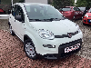 Fiat MY24 Hyb. 1.0 GSE Bluetooth,Klimaautom.