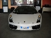 Lamborghini Gallardo SE (Special Edition) 250 pieces