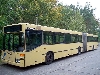 Mercedes-Benz O 405 GN Euro1 Gelenkbus Automatik